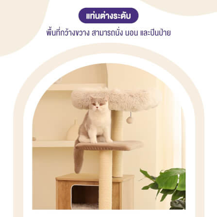 คอนโดแมว Catry รุ่น Cat Tree Casio สีเบจ_4